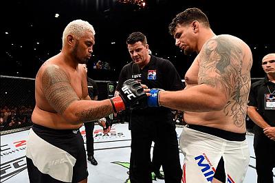  Frank Mir and Mark Hunt 